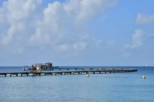 Мартиника, picturesque village of Sainte Anne in West Indies — стоковое фото