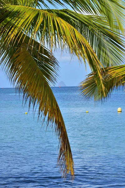Martinique, malerisches dorf sainte anne in westindien — Stockfoto