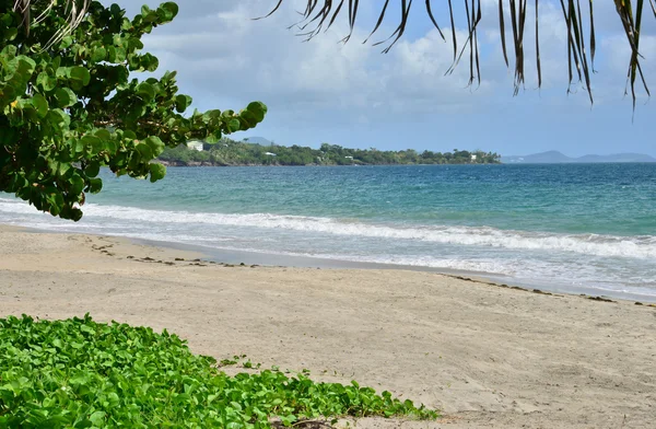 Martinique, schilderachtige stad van Le diamant in West-Indië — Stockfoto