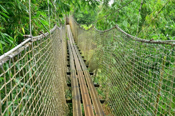 Frankrijk, de pittoreske tuin van Balata in Martinique — Stockfoto