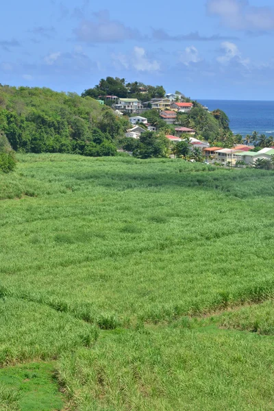 Martinique, Tartane pitoresk köy Batı Hint Adaları — Stok fotoğraf