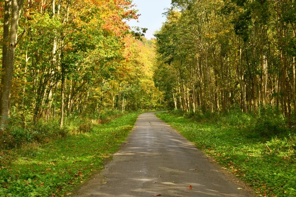 Pittoresco paesaggio del villaggio di Lisors in Normandia — Foto Stock