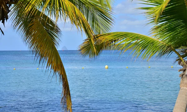 Мартиника, picturesque village of Sainte Anne in West Indies — стоковое фото