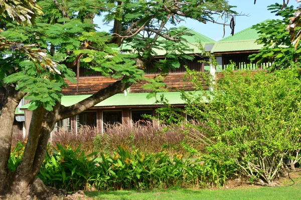 Martinica, pitoresca aldeia de Sainte Anne nas Índias Ocidentais — Fotografia de Stock