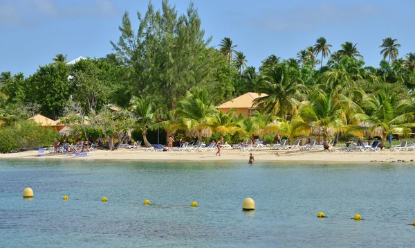 Martinique-on, festői falu Sainte Anne Nyugat-Indiában — Stock Fotó