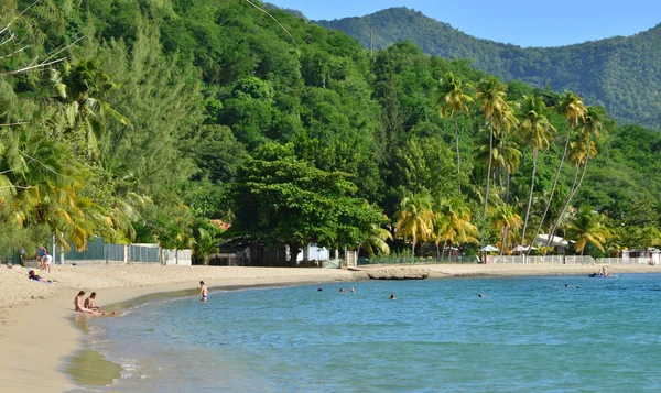 Martinique, Les Anses pitoresk şehir d Batı'Arlet ben — Stok fotoğraf