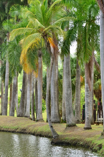 Martinique, picturesque Habitation Clement in Le Francois in We — Stock Photo, Image