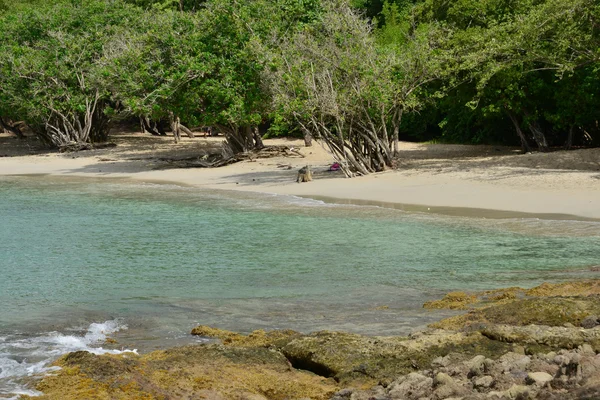 Martinique, ville pittoresque de Sainte Luce aux Antilles — Photo