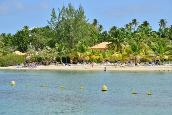 Martinique, picturesque village of Sainte Anne in West Indies — Stock Photo, Image