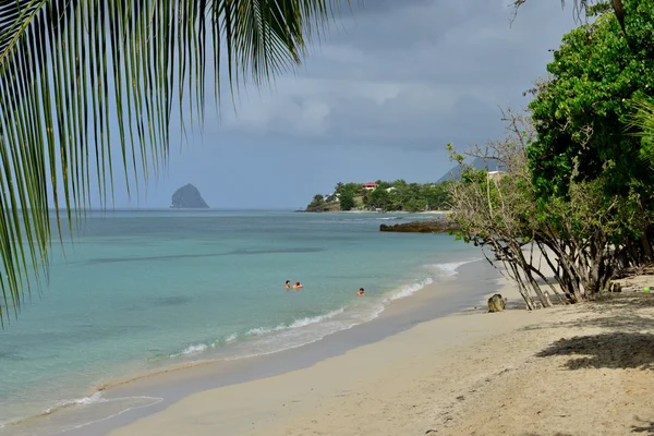 Martinique, pittoreska staden av Sainte Luce i Västindien — Stockfoto