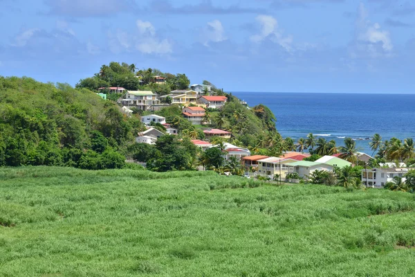 Martinique, Tartane pitoresk köy Batı Hint Adaları — Stok fotoğraf