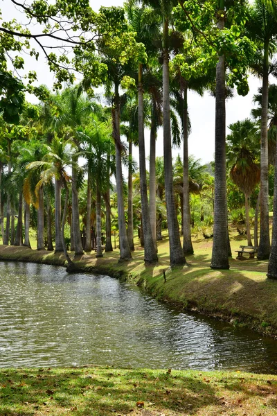 Martinique, malerische Wohnsiedlung clement in le francois in we — Stockfoto