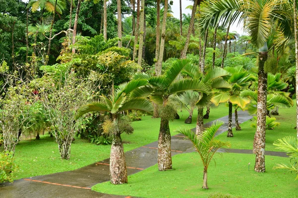 Francia, el pintoresco jardín de Balata en Martinica — Foto de Stock