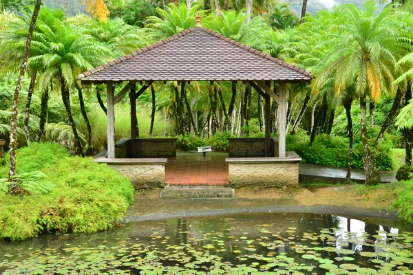 Frankreich, der malerische Garten von balata in martinique — Stockfoto