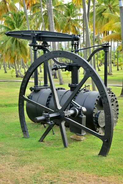 Martinique, malerischer park in der stadt sainte anne in wes — Stockfoto