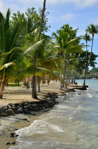 Martinique, malerische stadt sainte anne in westindien — Stockfoto