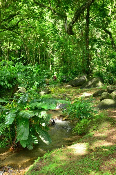 Martinique, pittoreske bewoning Cerón in Le Precheur in West — Stockfoto