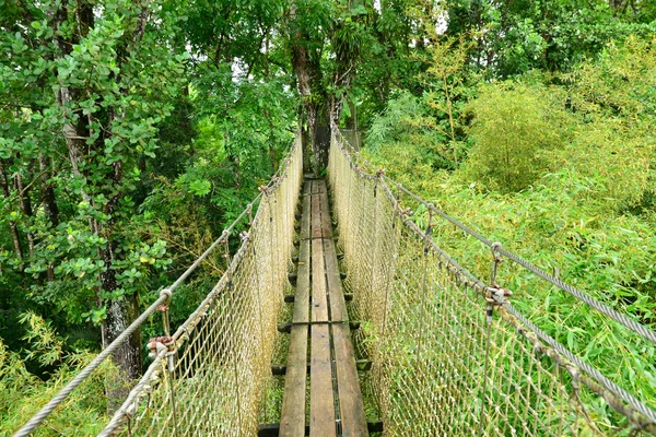 Frankrijk, de pittoreske tuin van Balata in Martinique — Stockfoto