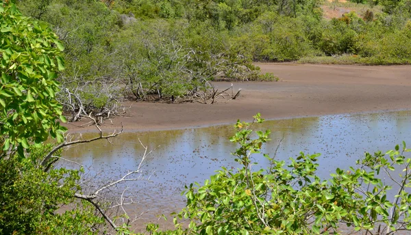 Martinica, pintoresca ciudad de Tartane en las Indias Occidentales — Foto de Stock