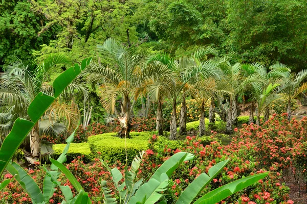 Il pittoresco zoo Martinica a Le Carbet nelle Indie Occidentali — Foto Stock