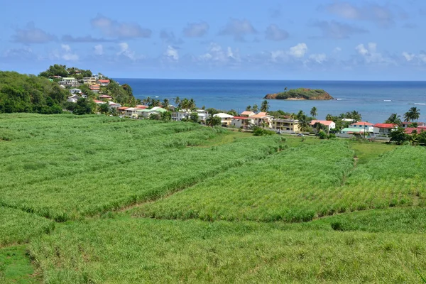 Martinique, pittoreske dorp van Tartane in West-Indië — Stockfoto