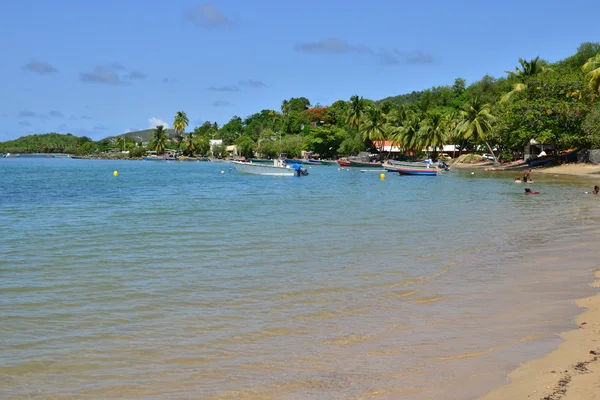 Martinique, schilderachtige stad van Tartane in West-Indië — Stockfoto