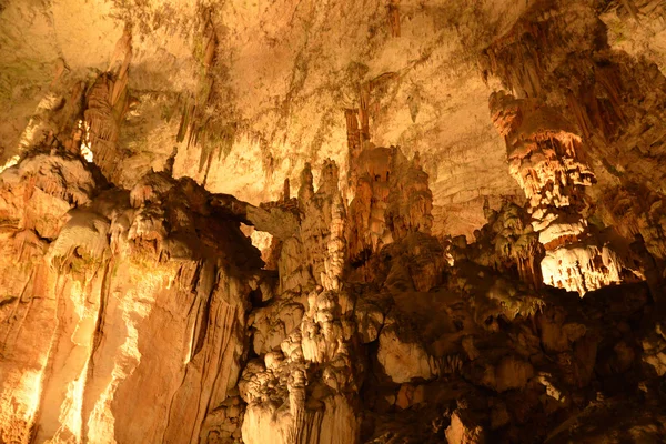 Slovenia, picturesque and historical cave of Postojna — Stock Photo, Image