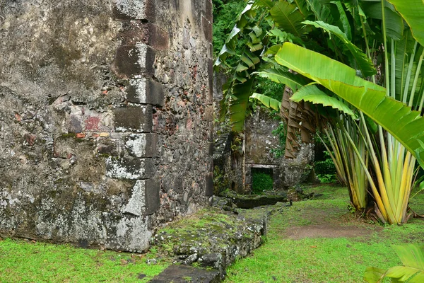 Martinique, picturesque old sugar refinery of Les Les trois Ilet — Stock Photo, Image