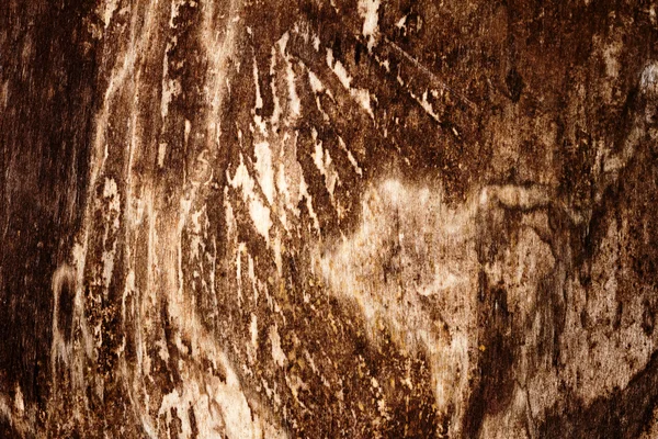 Vecchio legno Texture — Foto Stock