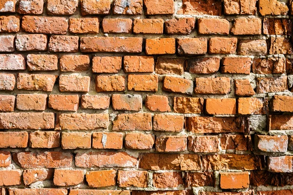 Tekstur Brick Wall — Stok Foto