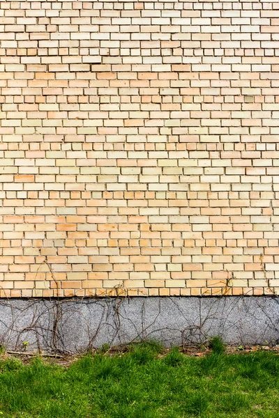 Fond mural en brique jaune — Photo