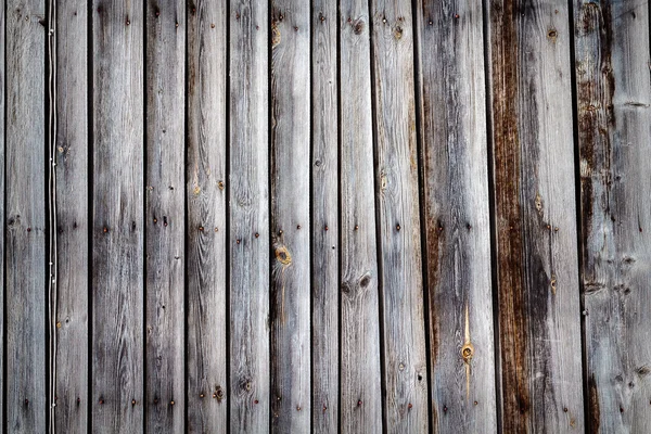 Texture de mur de planche en bois — Photo