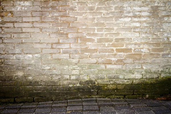 White brick wall — Stock Photo, Image