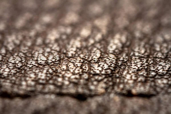 Extreme Closeup Leather Shallow Deph Field Macro Brown Leather — Stock Photo, Image