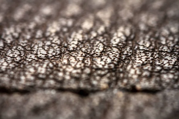 Extreme Closeup Leather Shallow Deph Field Macro Brown Leather — Stock Photo, Image