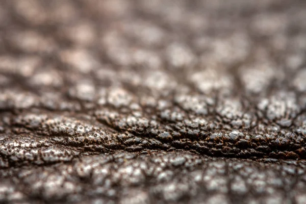 Extreme Closeup Leather Shallow Deph Field Macro Brown Leather Selective — Stock Photo, Image