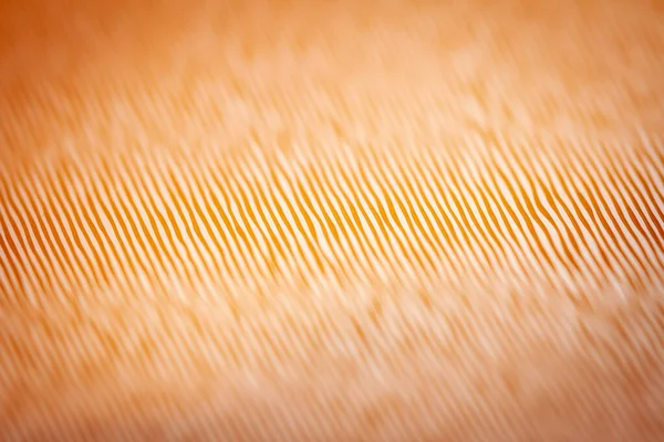 Narancssárga Bakelit Lemez Egy Régi Bakelit Lemez Felszíne Sekély Mélységű — Stock Fotó
