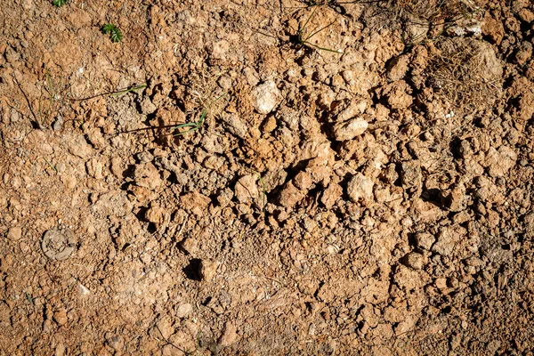 Abstrakt Markstruktur Med Klumpar Markbakgrund — Stockfoto