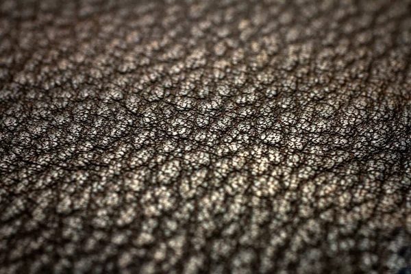 Extrémní Detailní Záběr Kůže Mělká Hloubka Pole Makro Hnědou Kůži — Stock fotografie