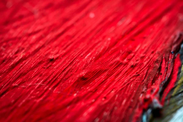 Fırça Darbelerini Gösteren Renkli Akrilik Boya Dokusuna Aşırı Yakın Çekim — Stok fotoğraf