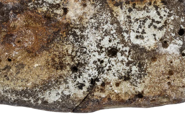 白地に孤立した褐色の石の一部 — ストック写真