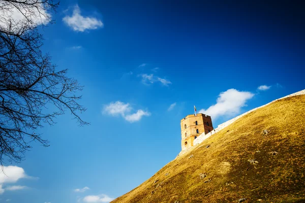 Tower of Gediminas — Stock Photo, Image