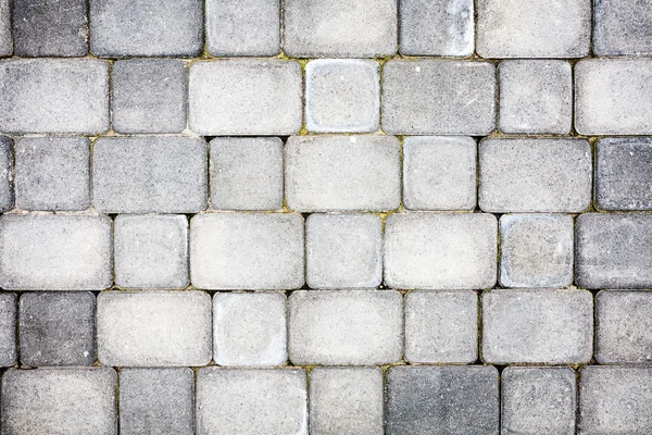 Textura de pavimentação de concreto — Fotografia de Stock