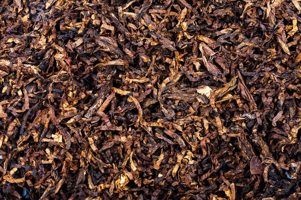 Tobak textur bakgrund — Stockfoto