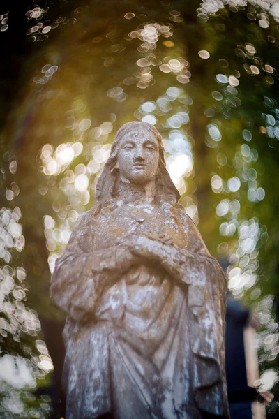 Statua della Vergine Maria — Foto Stock