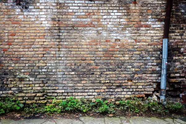 Gelbe Backsteinmauer Hintergrund — Stockfoto