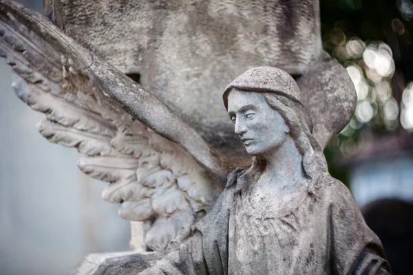 Statue of angel — Stock Photo, Image