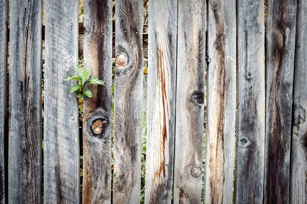 Wooden plank fence background — Stock Photo, Image