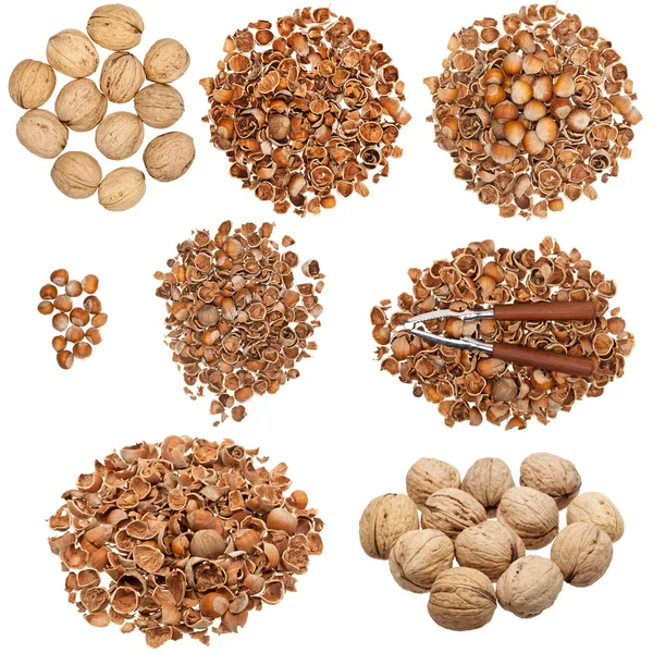 Collection of nuts and empty nutshells — 图库照片