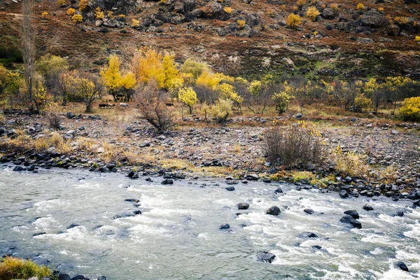 Sonbahar Gürcistan — Stok fotoğraf